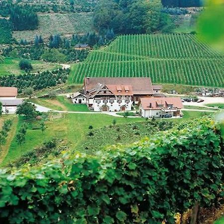 ドゥルバッハWeingut Alfred Huberアパートメント エクステリア 写真