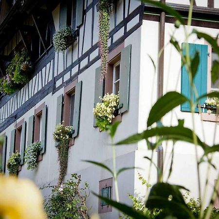 ドゥルバッハWeingut Alfred Huberアパートメント エクステリア 写真