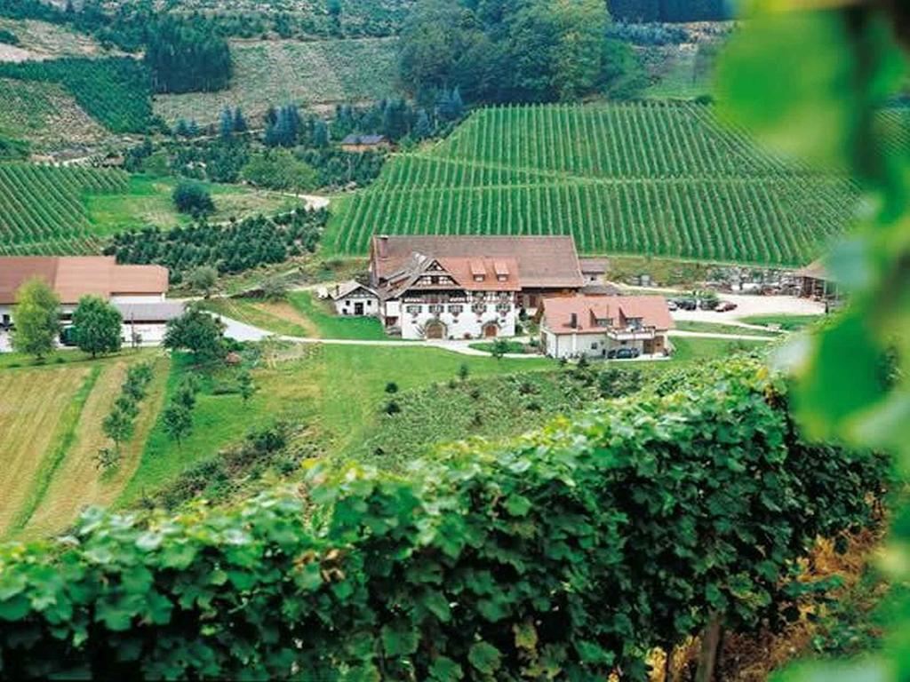 ドゥルバッハWeingut Alfred Huberアパートメント エクステリア 写真