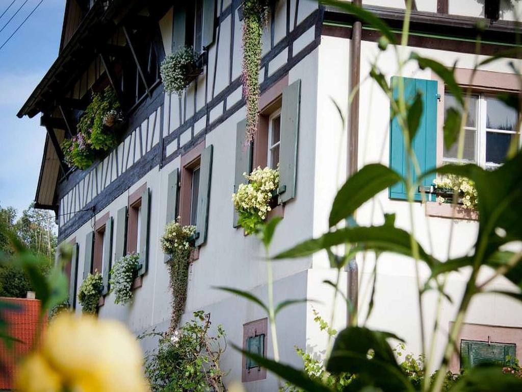 ドゥルバッハWeingut Alfred Huberアパートメント エクステリア 写真