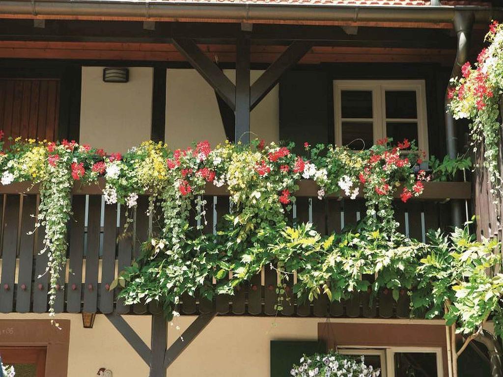 ドゥルバッハWeingut Alfred Huberアパートメント エクステリア 写真