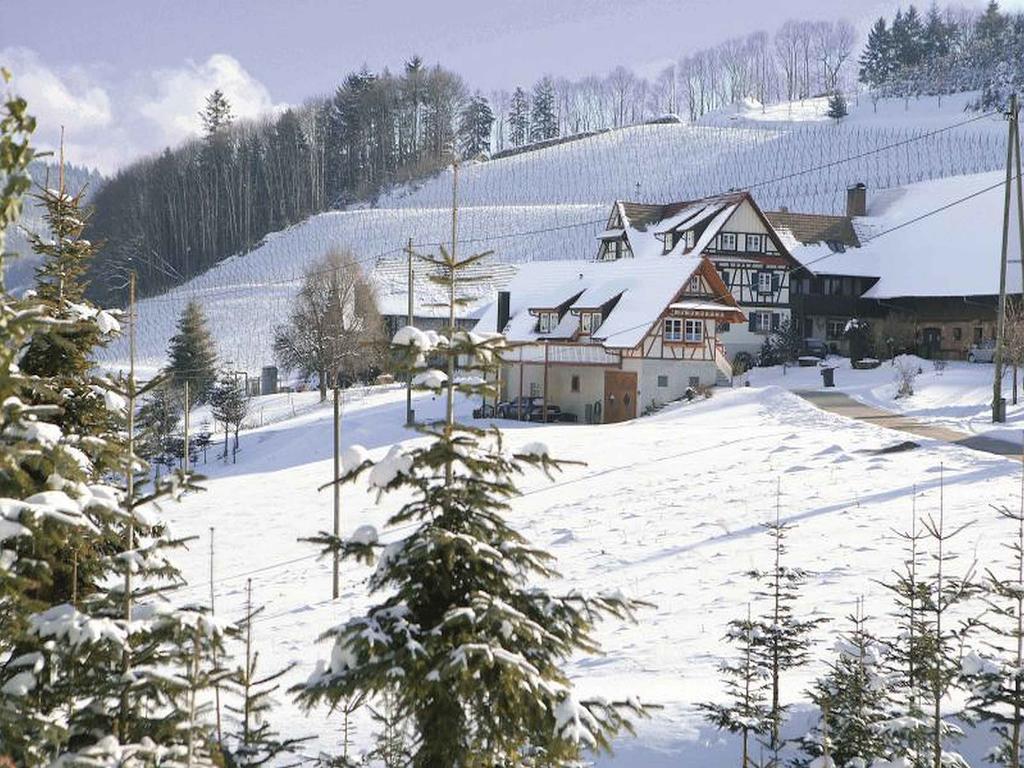 ドゥルバッハWeingut Alfred Huberアパートメント エクステリア 写真